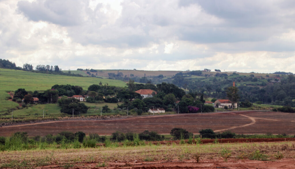 Vista ao longe da sede da Fazenda Tatu com as árvores ao lado das casas e área para o plantio de cana-de-açúcar - Foto Jornal Pires Rural